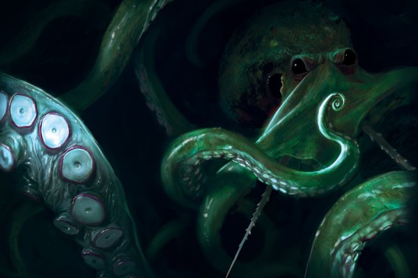 Kraken kraken link24 info