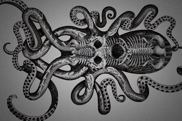 Kraken 13 at