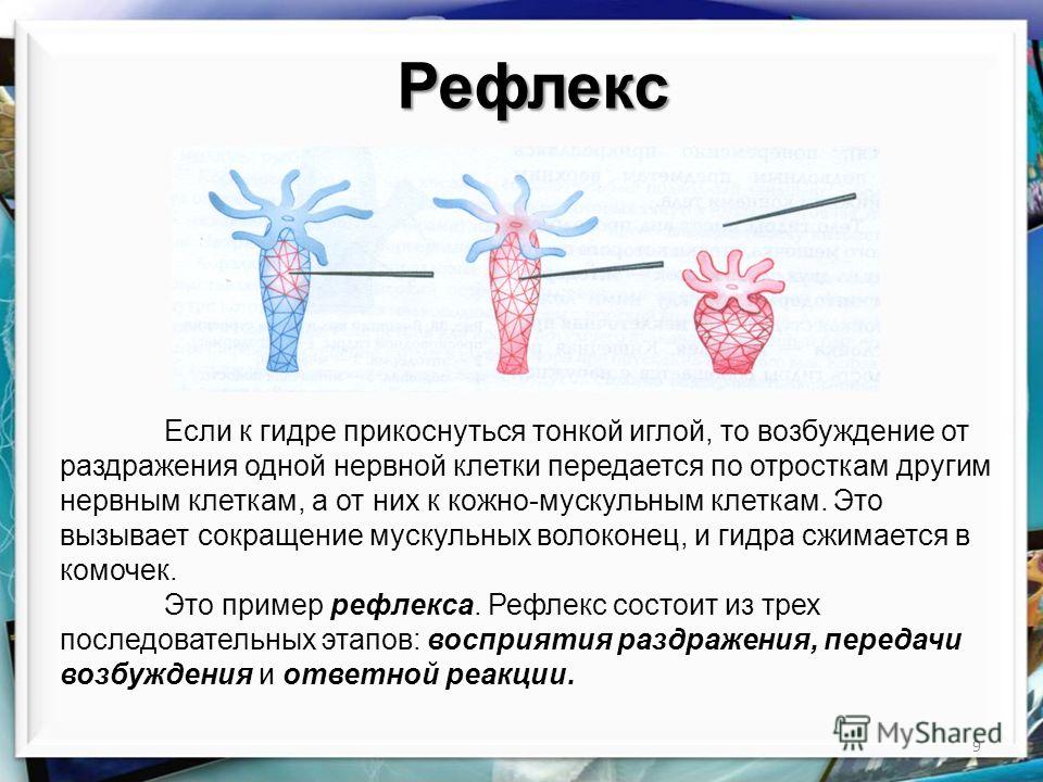 Кракен сайт регистрация